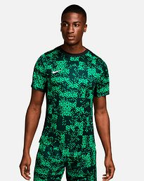 Camiseta Nike Academy Pro