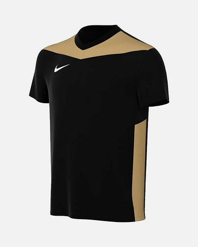 Camiseta Nike Dri-FIT Park Derby IV