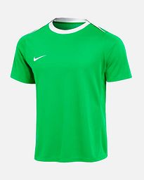 Camiseta Nike Academy Pro