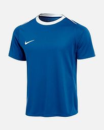 Camiseta Nike Academy Pro