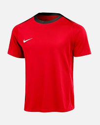 Camiseta Nike Academy Pro