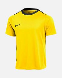 Camiseta Nike Academy Pro