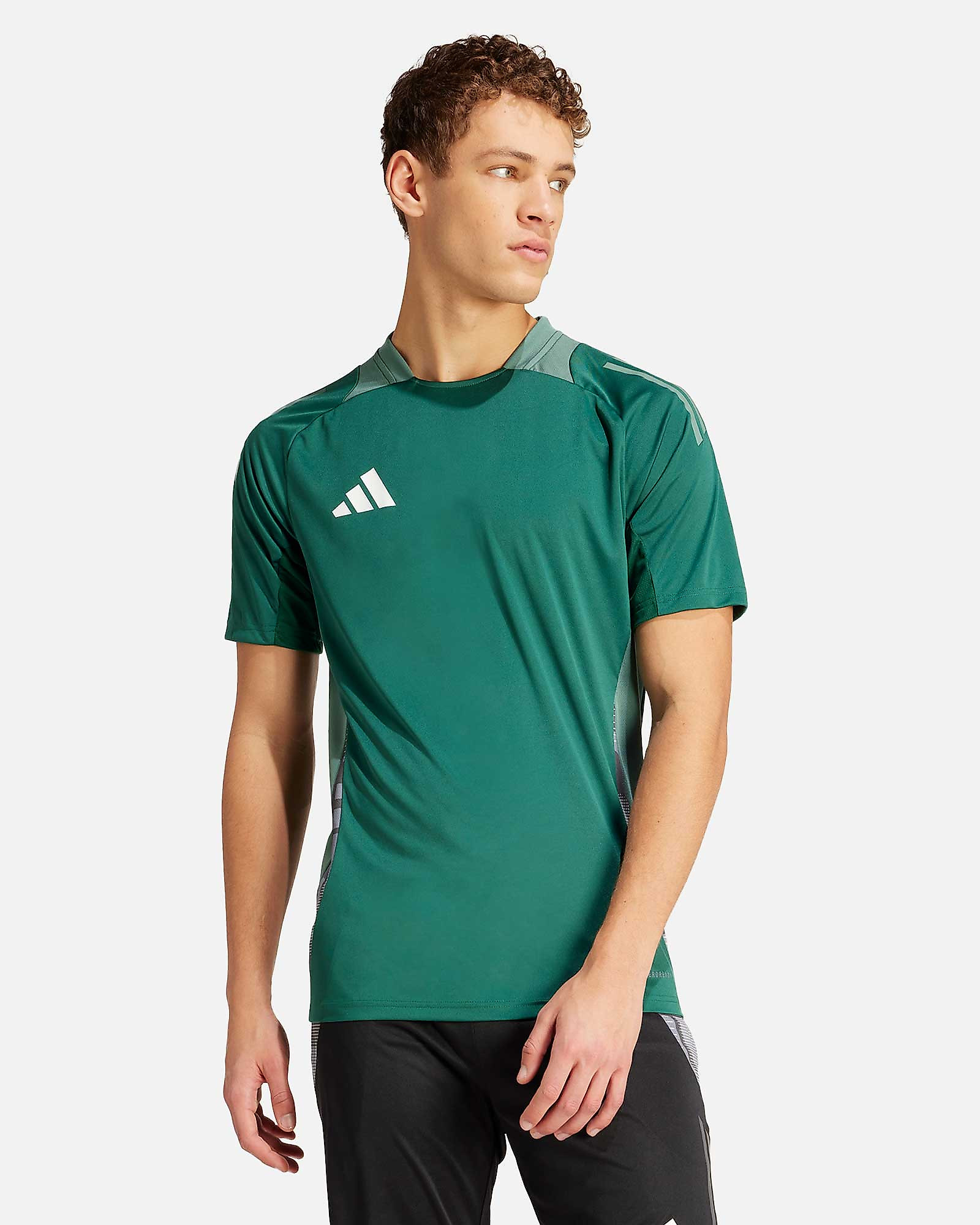 Camiseta adidas Tiro 24 Competition - Fútbol Factory