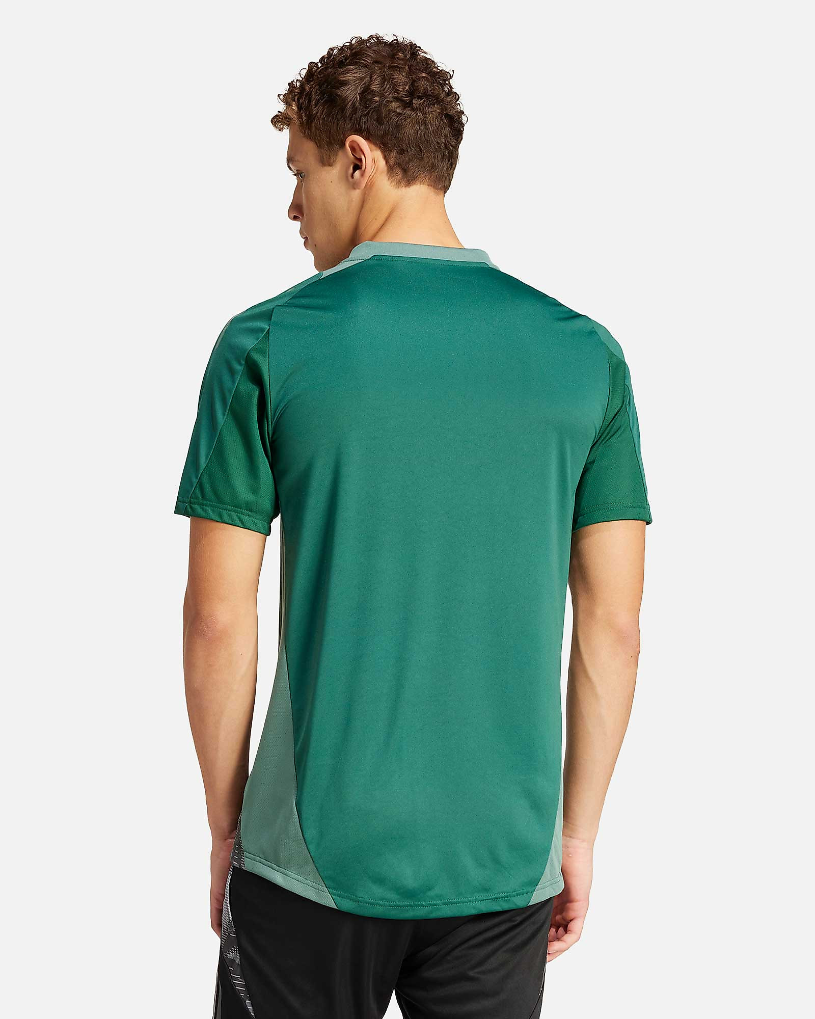 Camiseta adidas Tiro 24 Competition - Fútbol Factory