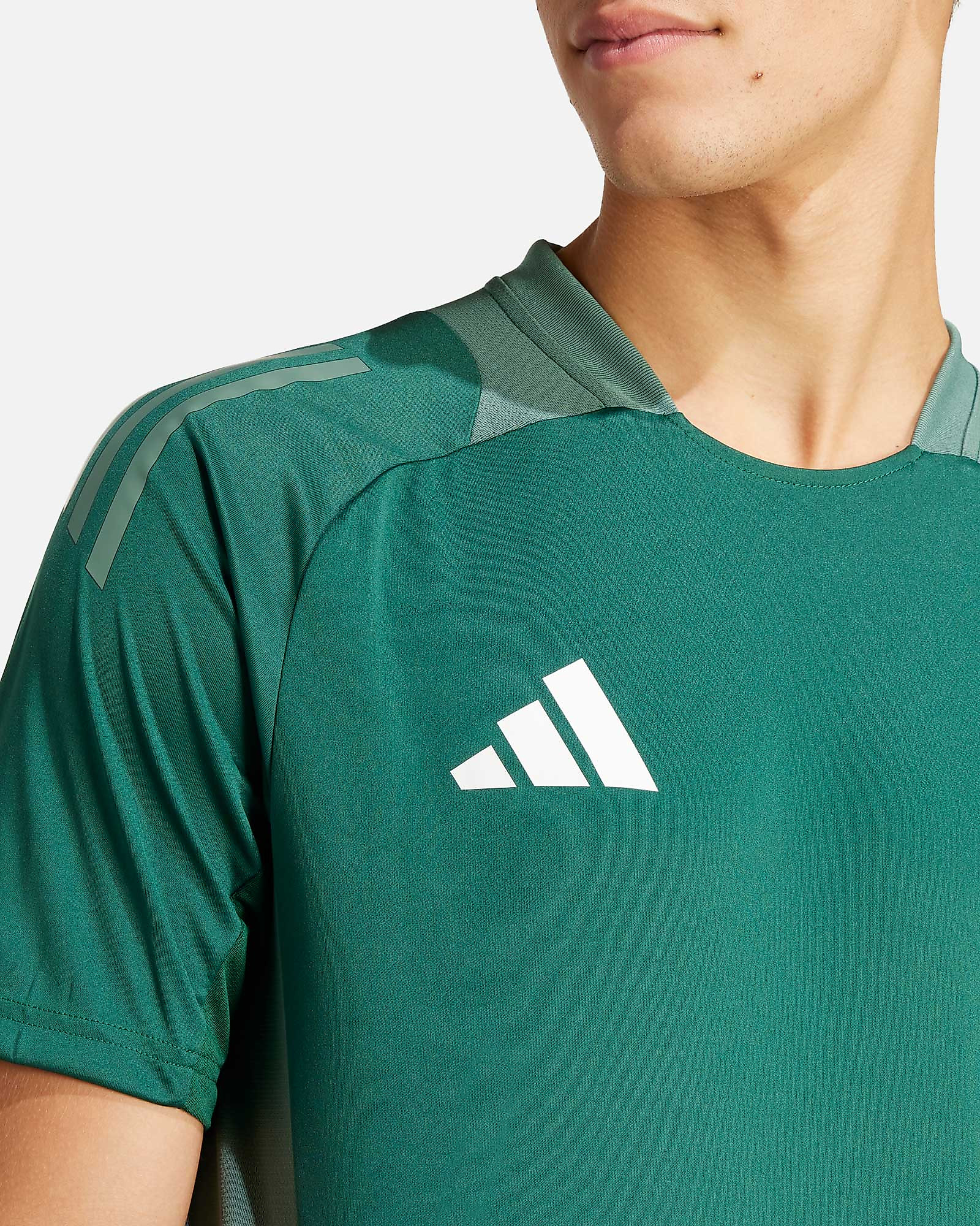Camiseta adidas Tiro 24 Competition - Fútbol Factory