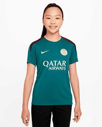 Camiseta PSG 2024/2025 Strike