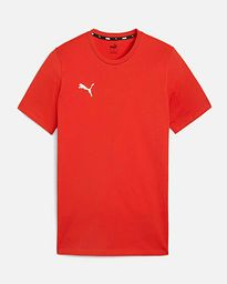 Camiseta Puma TeamGoal