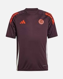 Camiseta FC Bayern 2024/2025 TR