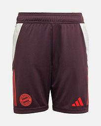 Pantalón FC Bayern 2024/2025 TR