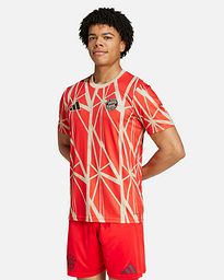 Camiseta FC Bayern 2024/2025 Prematch