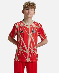 Camiseta FC Bayern 2024/2025 Prematch