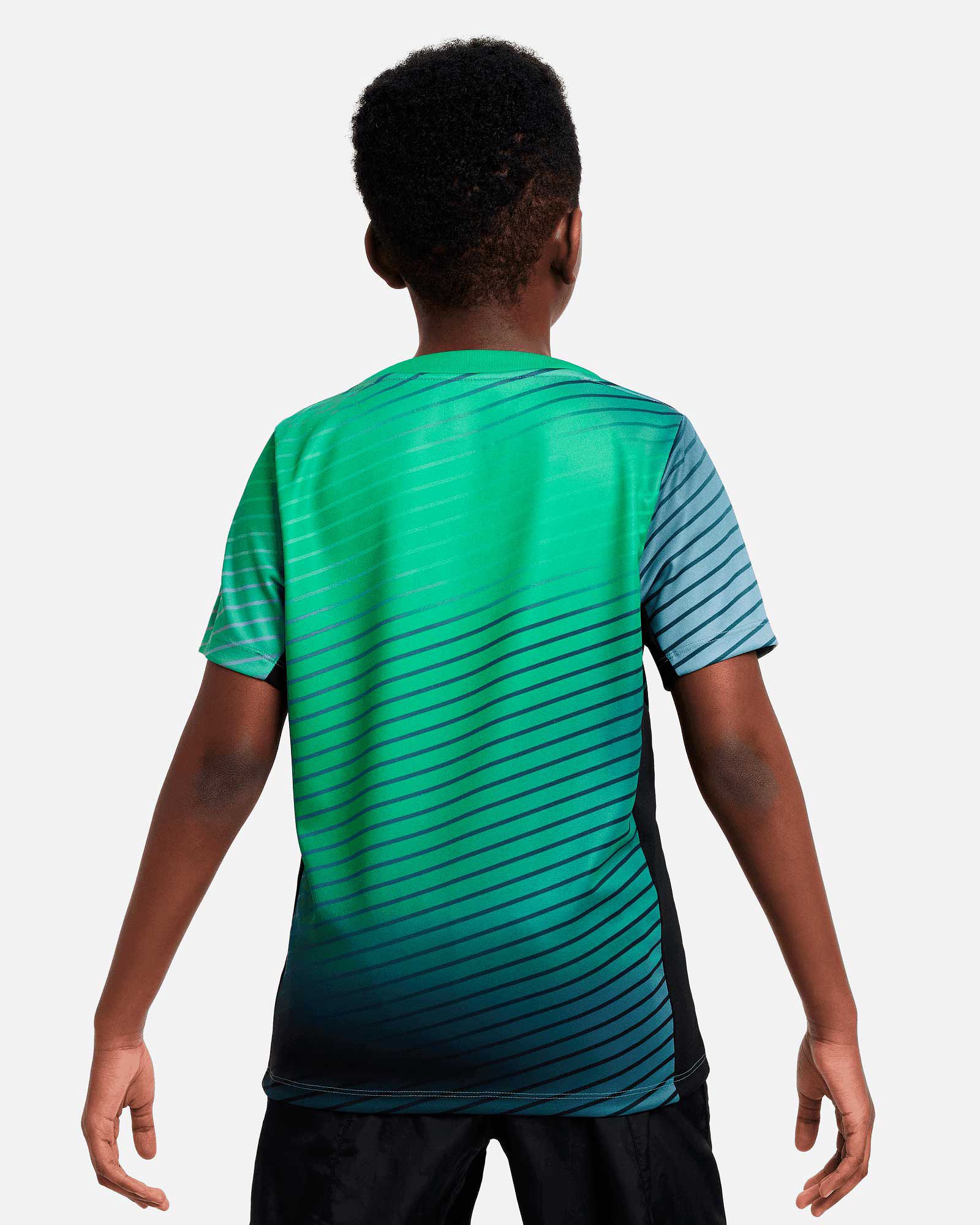 Camiseta Nigeria 2024 Academy Pro - Fútbol Factory