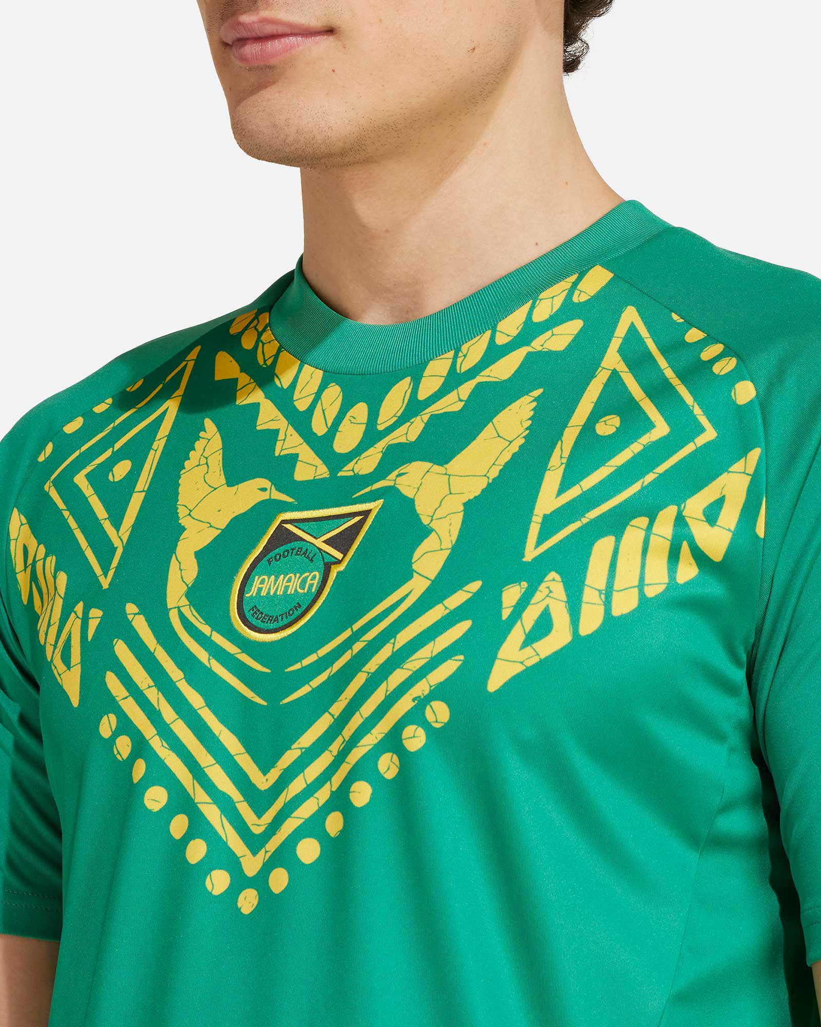 Camiseta Jamaica Prematch 2024/2025 - Fútbol Factory