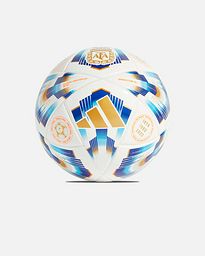 Mini balón Argentina 2024 Club