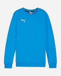 Sudadera Puma Team Goal