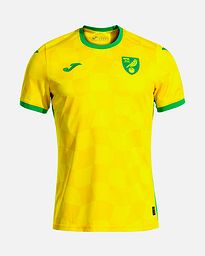 Camiseta 1ª Norwich City 2024/2025