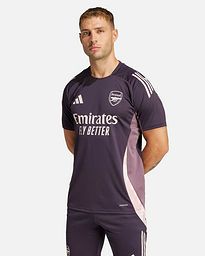 Camiseta Arsenal FC 2024/2025 TR