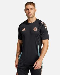 Camiseta FC Bayern 2024/2025 TR