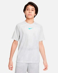 Camiseta Nike Academy TR