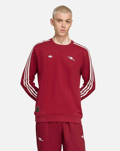 Sudadera Arsenal FC 2025/2026 Terrace Icons