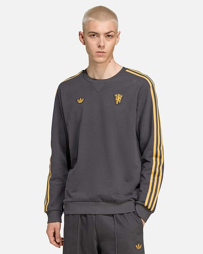 Sudadera Manchester United 2025/2026 Icon Terrace
