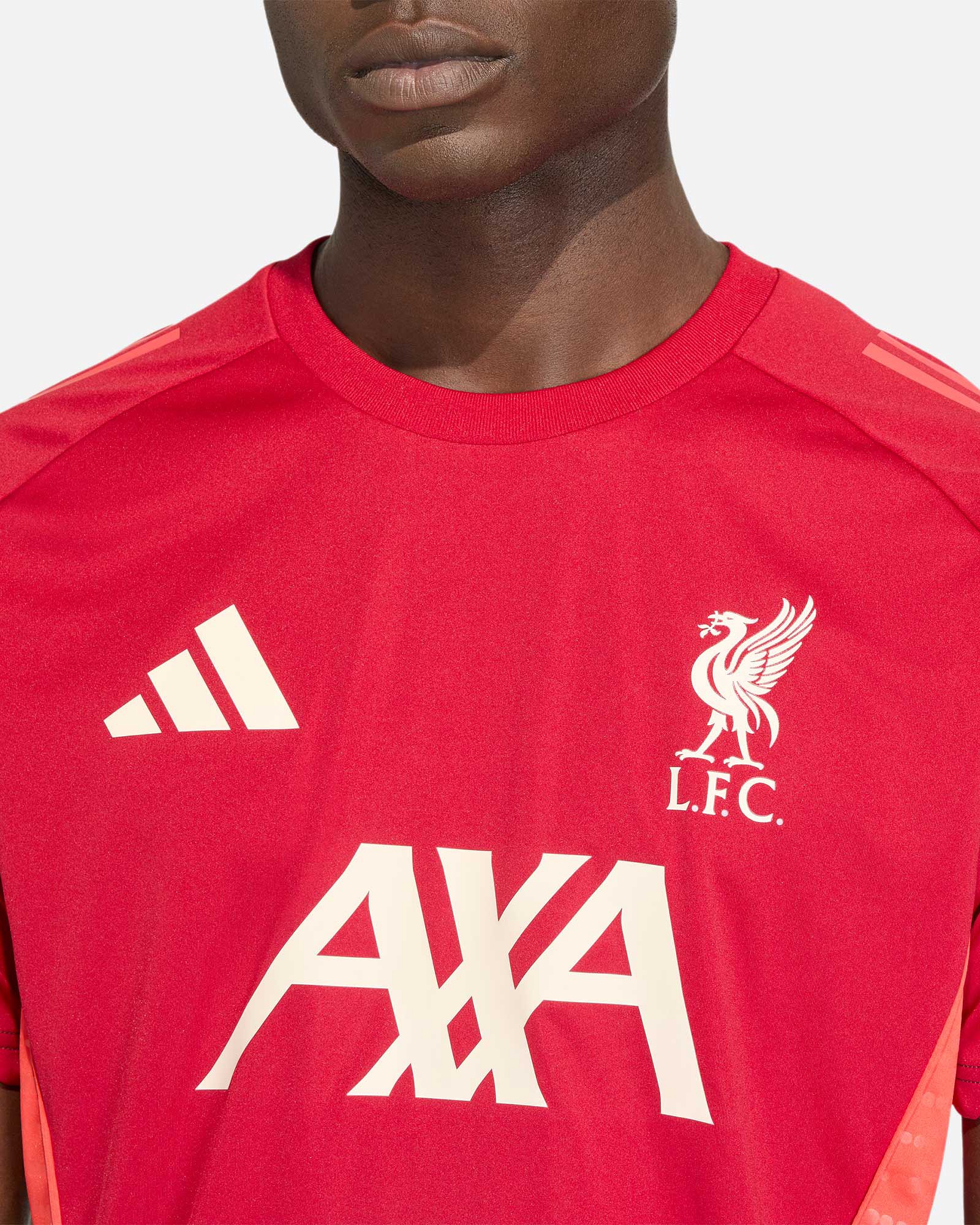 Camiseta Liverpool FC 2025/2026 TR - Fútbol Factory