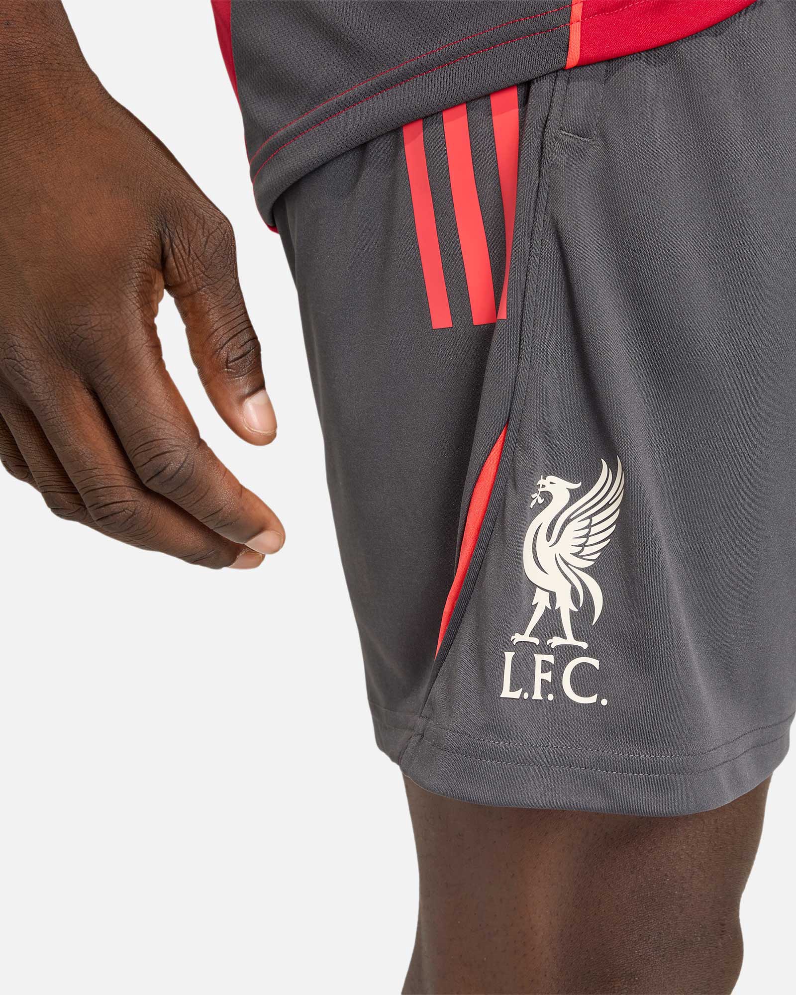 Pantalón Liverpool FC 2025/2026 TR Pantalón Liverpool FC 2025/2026 TR - Fútbol Factory