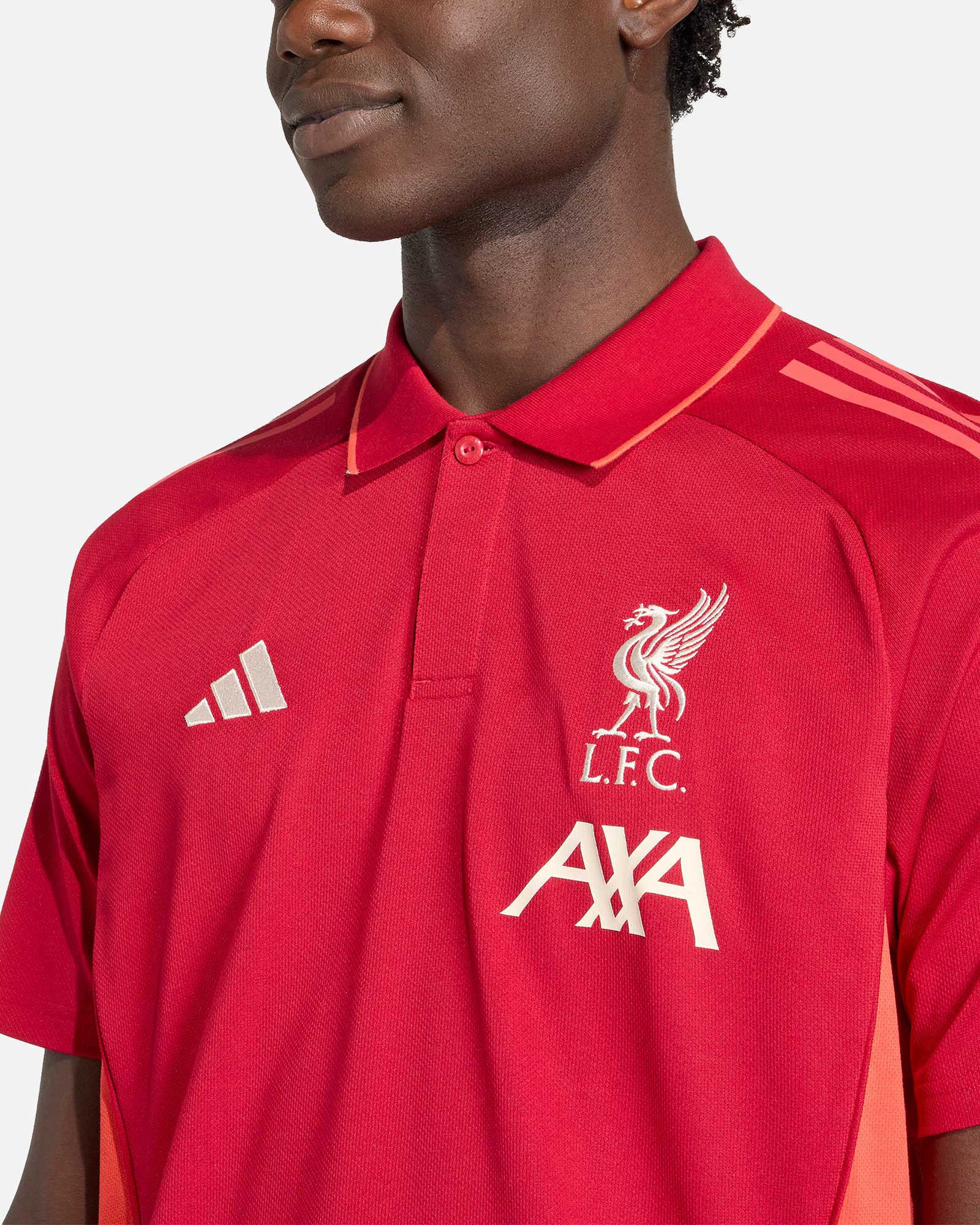 Polo Liverpool FC 2025/2026 - Fútbol Factory