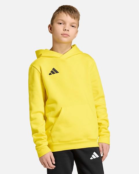 Camisola adidas Entrada 26 Hoodie TR