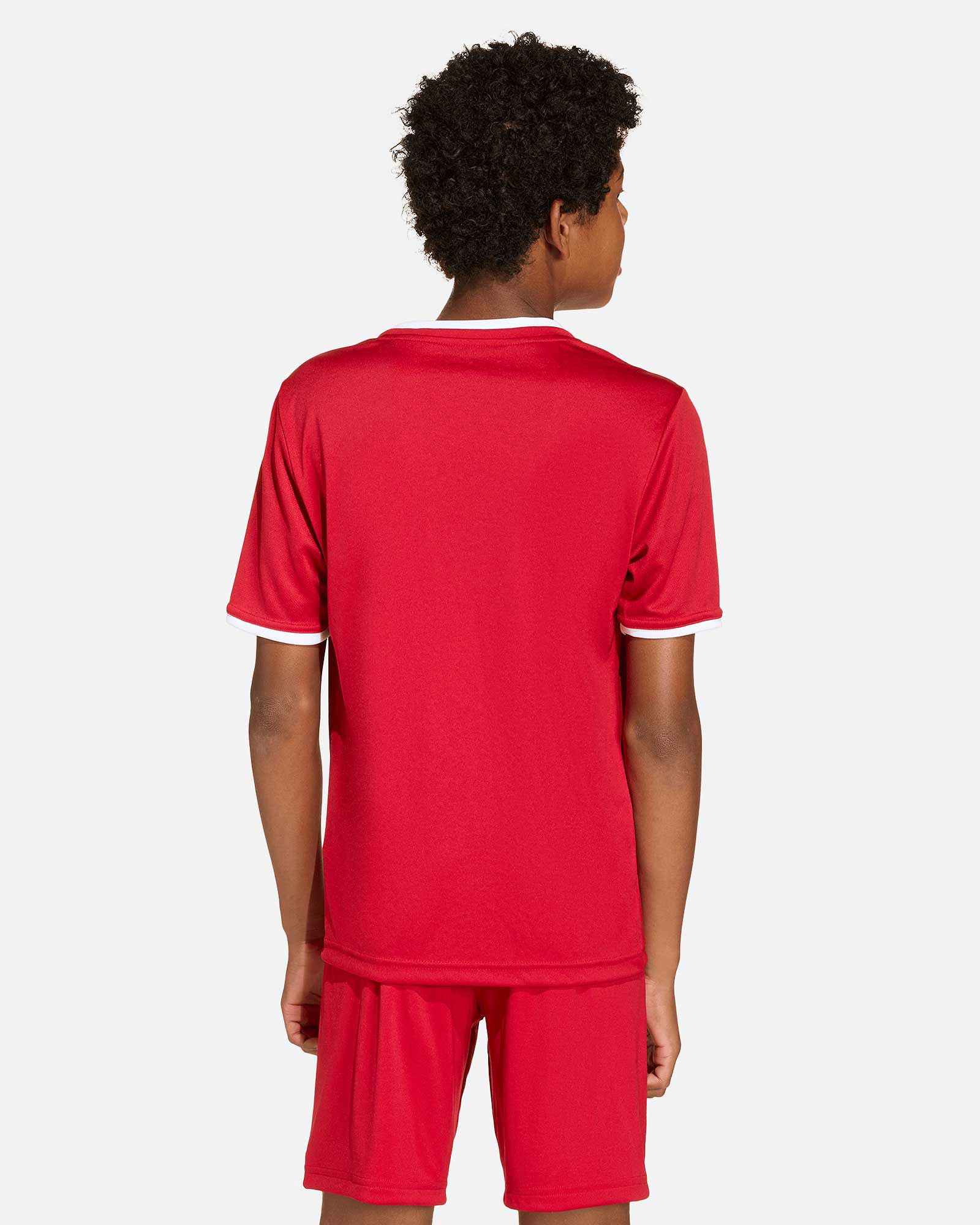 Camiseta adidas Entrada 26 - Fútbol Factory