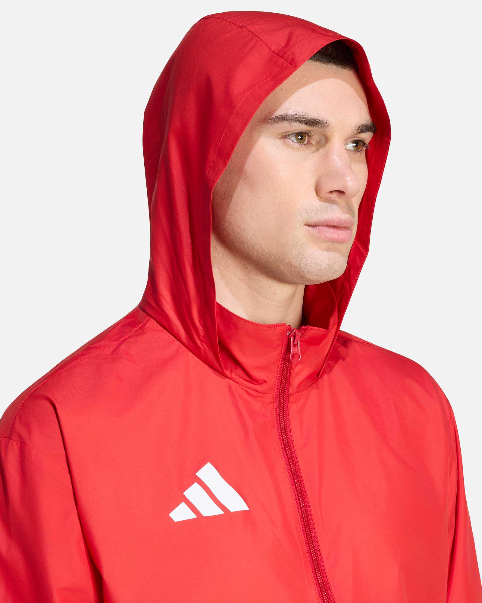 Chaqueta adidas Entrada 26 Multi - Fútbol Factory