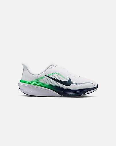 Sapatilhas Nike Pegasus 42