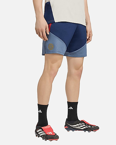 Pantalón de entrenamiento FC Bayern 2026/2027