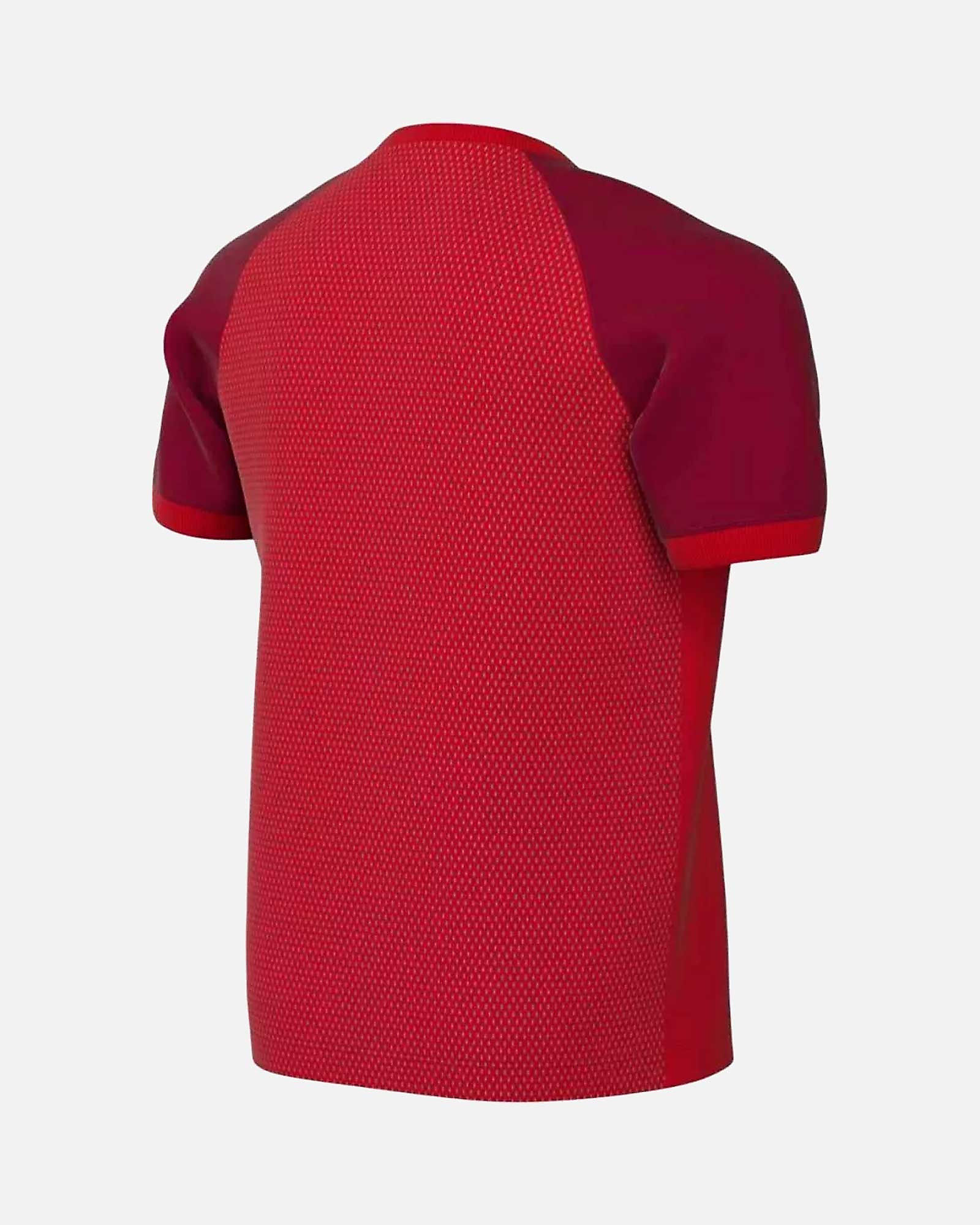 Camiseta Nike Trophy VI - Fútbol Factory
