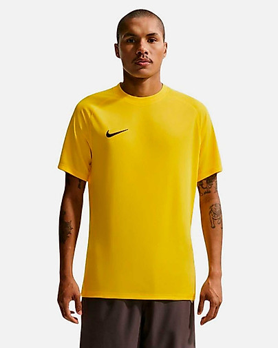 Camiseta Nike Dri-FIT Park VIII