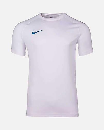 Camiseta Nike Park VIII