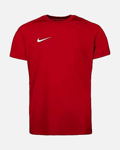 Camiseta Nike Park VIII