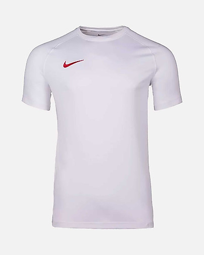 Camiseta Nike Park VIII
