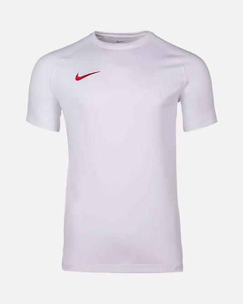 Camiseta Nike Park VIII