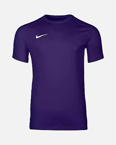 Camiseta Nike Park VIII