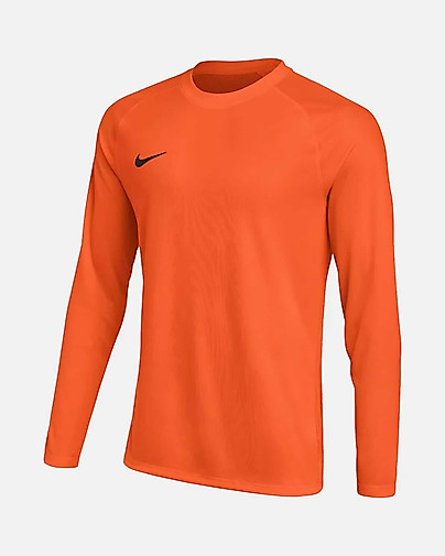Camiseta manga larga Nike Park VIII