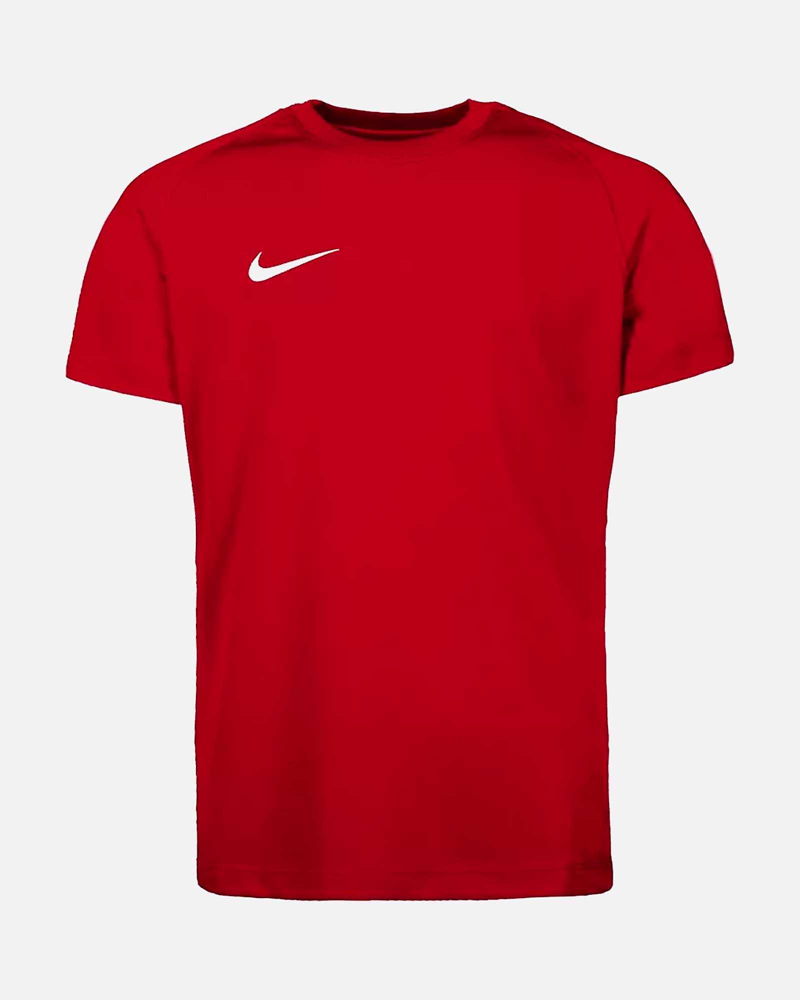 Conjunto Nike Dri-FIT Park VIII - Fútbol Factory