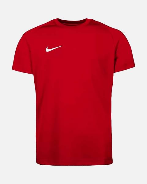 Conjunto Nike Dri-FIT Park VIII