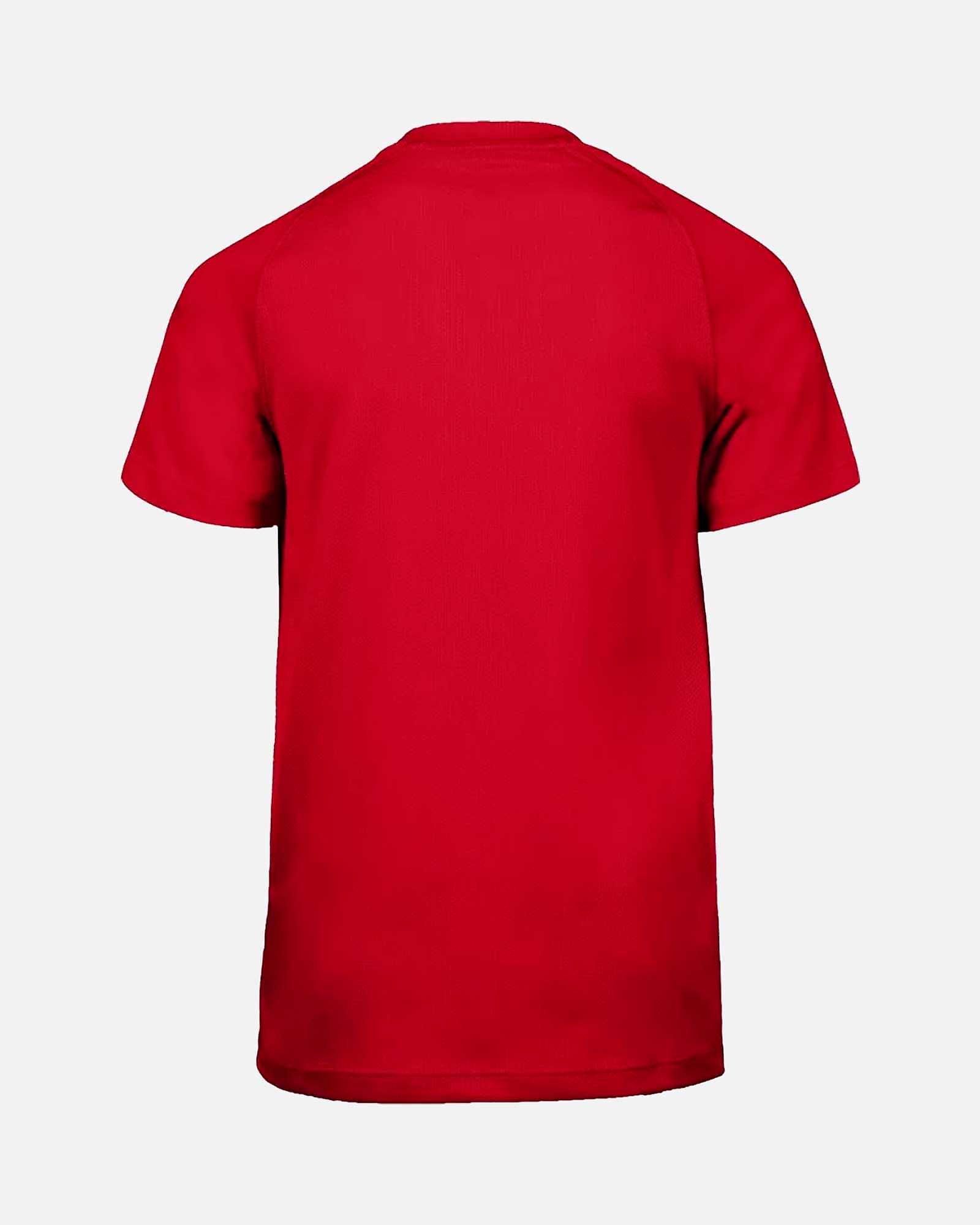 Conjunto Nike Dri-FIT Park VIII - Fútbol Factory
