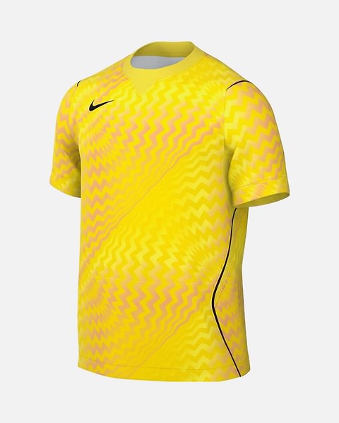 Camisola Nike Gardien VI