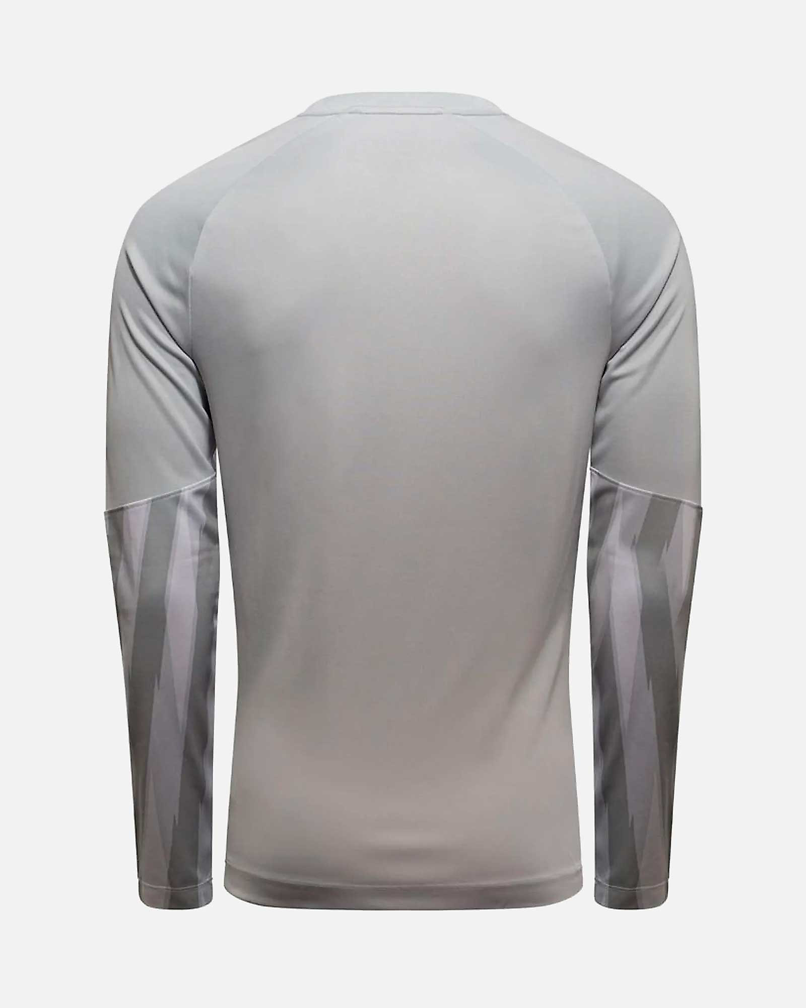 Camiseta manga larga de portero Nike Park V - Fútbol Factory