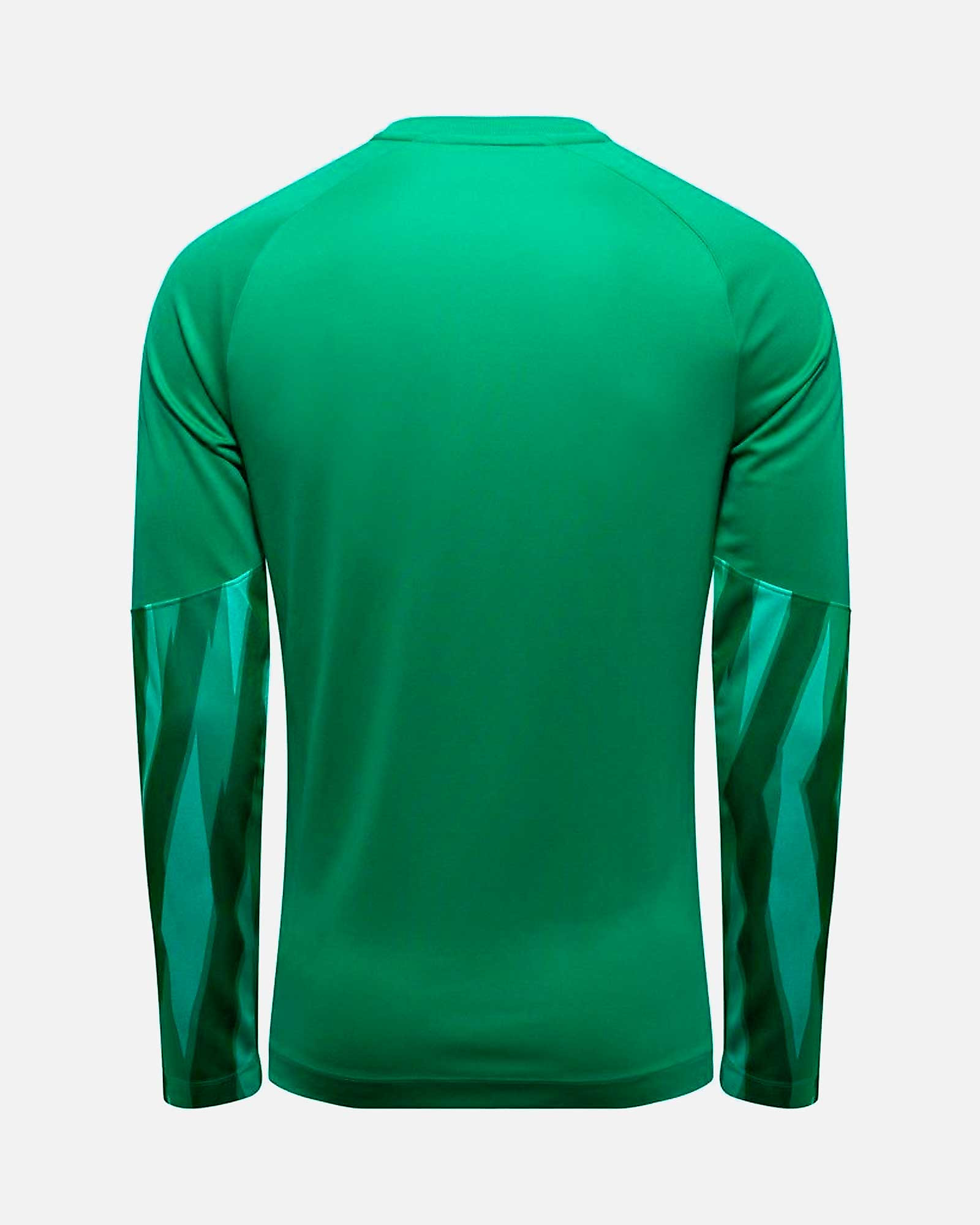 Camiseta manga larga de portero Nike Park V - Fútbol Factory