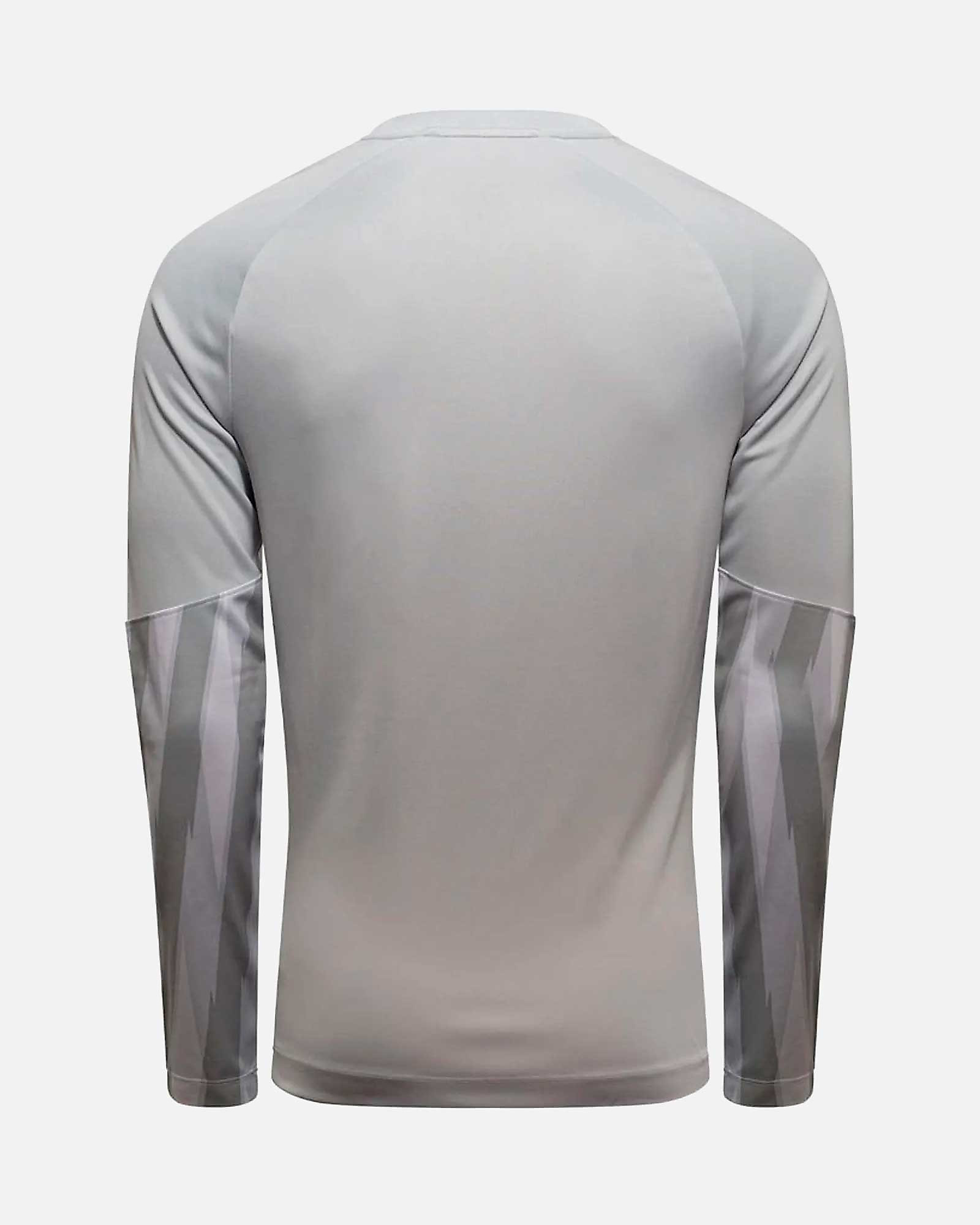 Camiseta manga larga de portero Nike Park V - Fútbol Factory