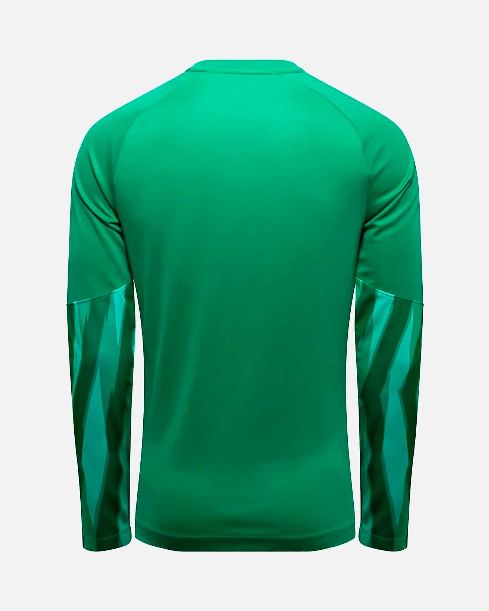 Camiseta manga larga de portero Nike Park V - Fútbol Factory