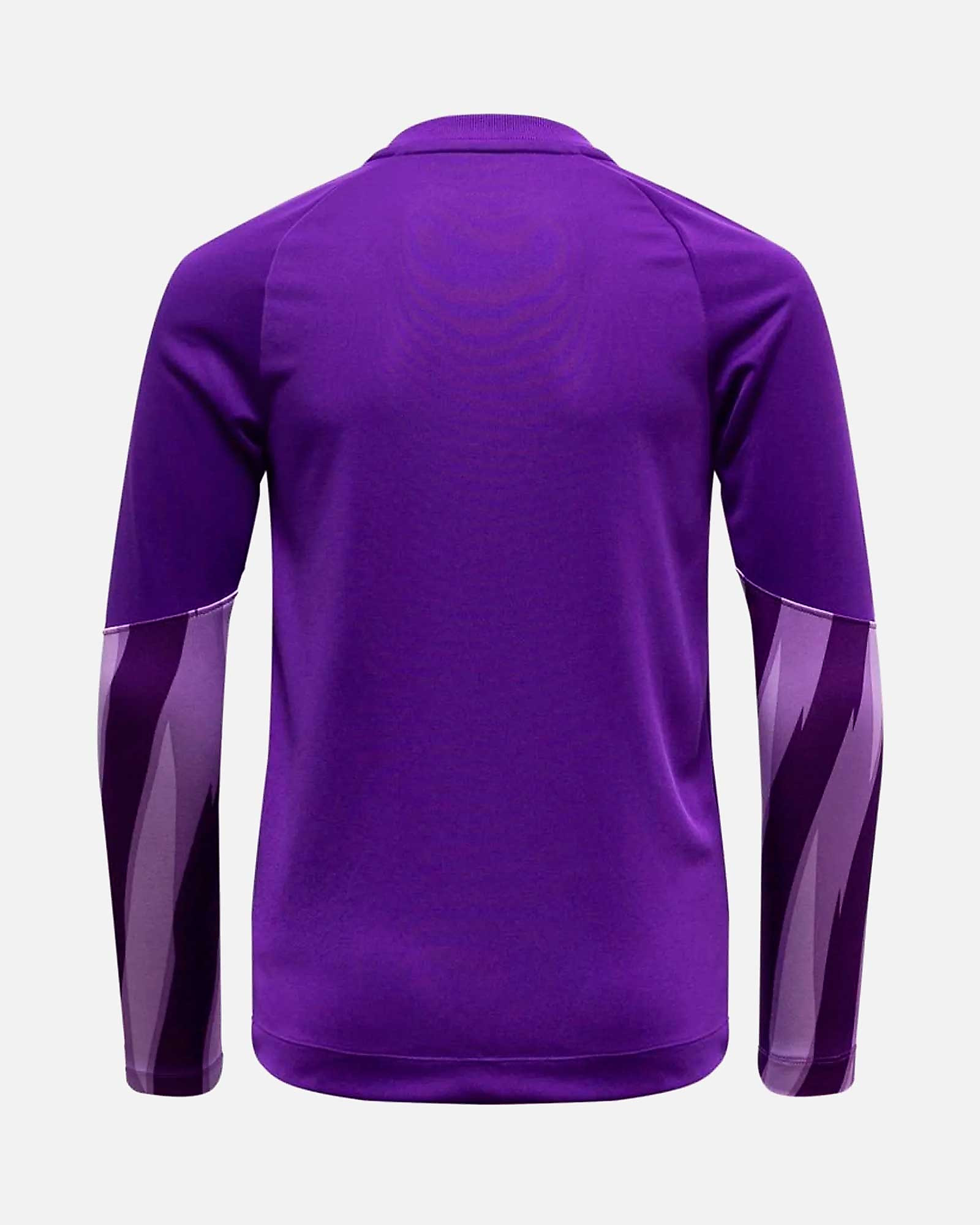 Camiseta manga larga de portero Nike Park V - Fútbol Factory